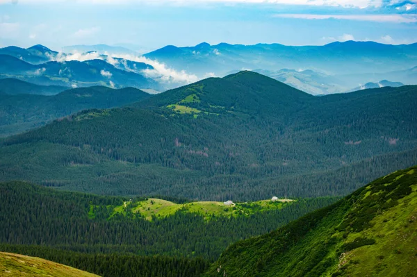 Karpaten Panorama Grüner Hügel Sommerlichen Bergen Dunstig Grüner Bergwald Unter — Stockfoto