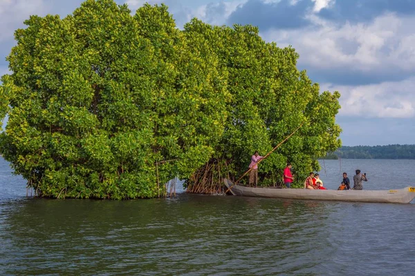 Jízda na kánoi mezi mangrovím lesem — Stock fotografie