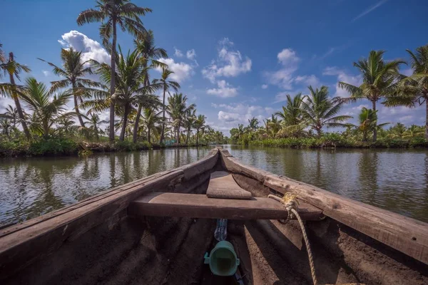 Kokospalmen in de buurt opstuwing grachten in Munroe Island — Stockfoto