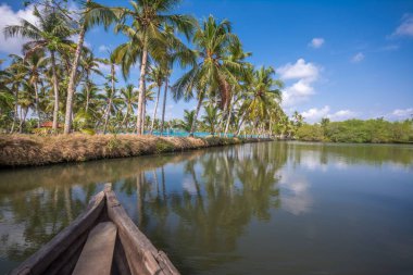 Munroe Adası 'nda arka su kanallarından kano yolculuğu