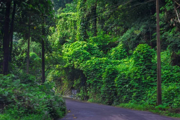 Vagamon, Kerala, India- 07 Julio 2019: Erattupetta Peerumedu carretera a la estación de la colina vagamon —  Fotos de Stock