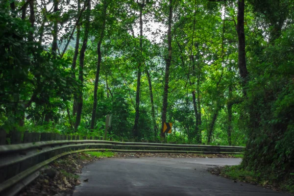 Вагамон, Керала, Индия - 07 июля 2019 года: Erattupetta Peerumedu Road to vagamon hill station — стоковое фото