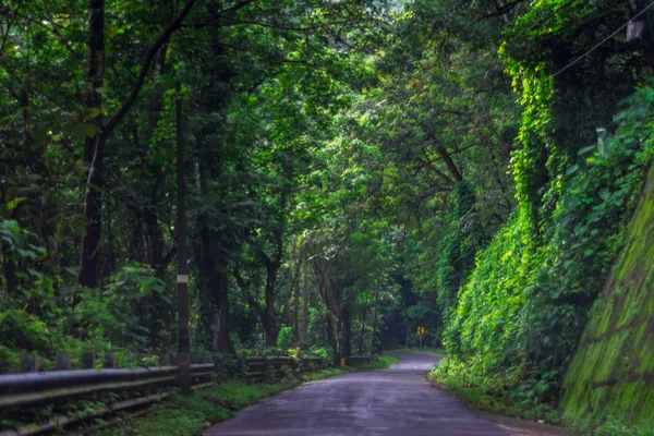 Вагамон, Керала, Индия - 07 июля 2019 года: Erattupetta Peerumedu Road to vagamon hill station — стоковое фото