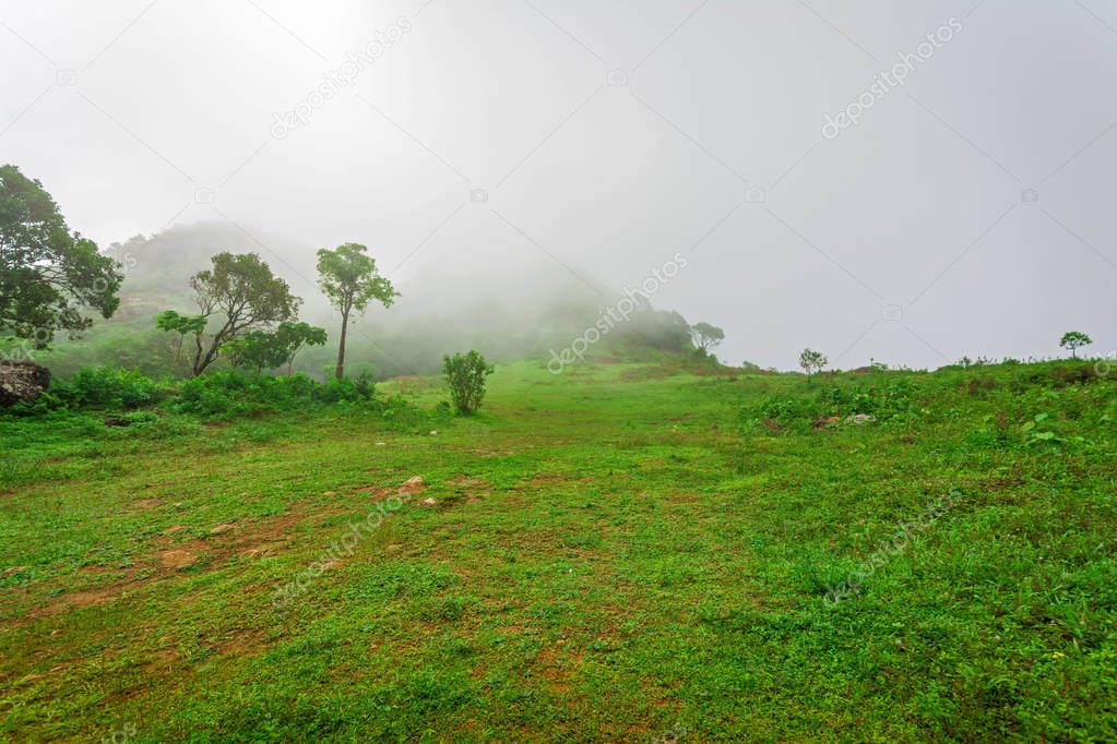 A foggy morning in Vagamon Kurishumala