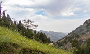 Dağ vadisi bulutlu gökyüzü manzarası. Dağ kanyonu ve patika manzarası. Özbekistan 'daki TianShan Dağı' nın panoramik görüntüsü.