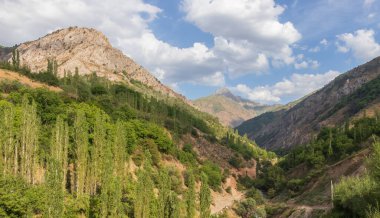 Dağ vadisi bulutlu gökyüzü manzarası. Dağ kanyonu ve patika manzarası. Özbekistan 'daki TianShan Dağı' nın panoramik görüntüsü.