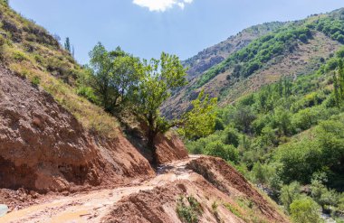 Dağ vadisi bulutlu gökyüzü manzarası. Dağ kanyonu ve patika manzarası. Özbekistan 'daki TianShan Dağı' nın panoramik görüntüsü.
