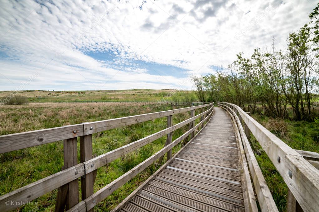 Cathkin braes nature reserve