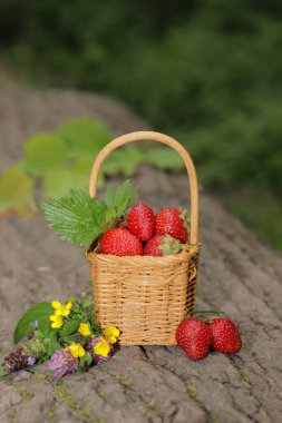 Doğanın arka planında çilekli sepet.