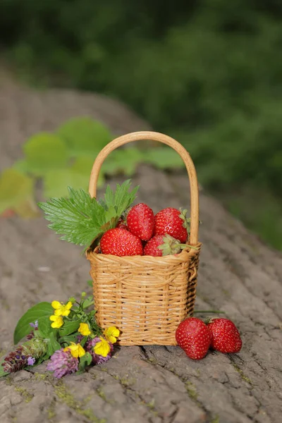 Basket Strawberries Background Nature — Stock Photo, Image