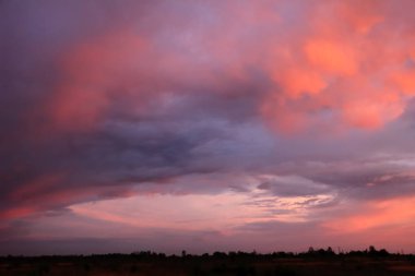 gün batımı yeşil alanda