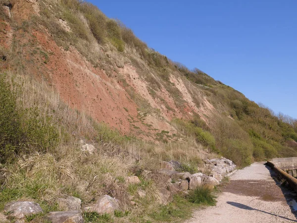 Axmouth Lyme Regis Undercliffs Nationales Naturschutzgebiet Devon April 2018 — Stockfoto