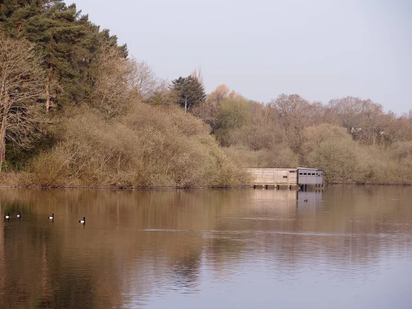 Snijbiet Reservoir Somerset April 2018 — Stockfoto