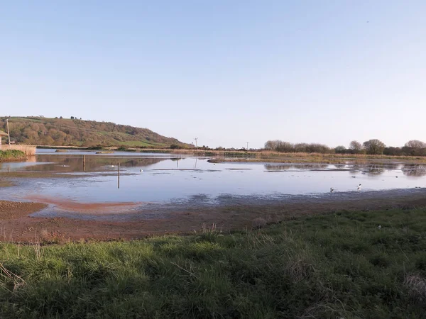 Seaton Wetlands Devon Aprile 2018 — Foto Stock