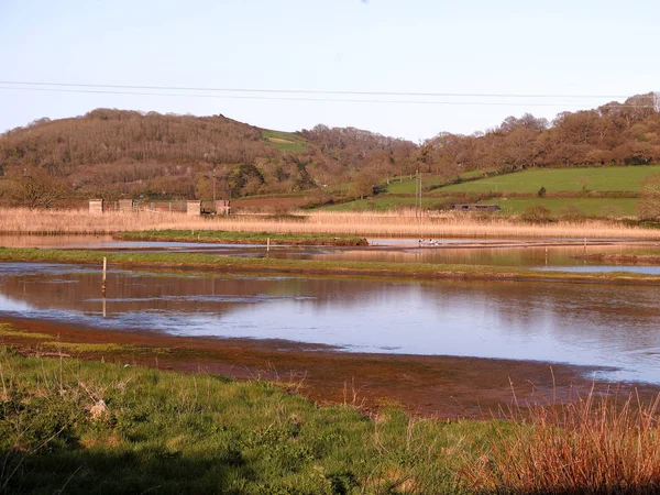 Seaton Wetlands Devon April 2018 — Stock Photo, Image