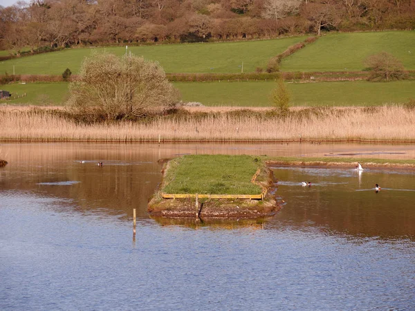 Seaton Wetlands Devon April 2018 – stockfoto