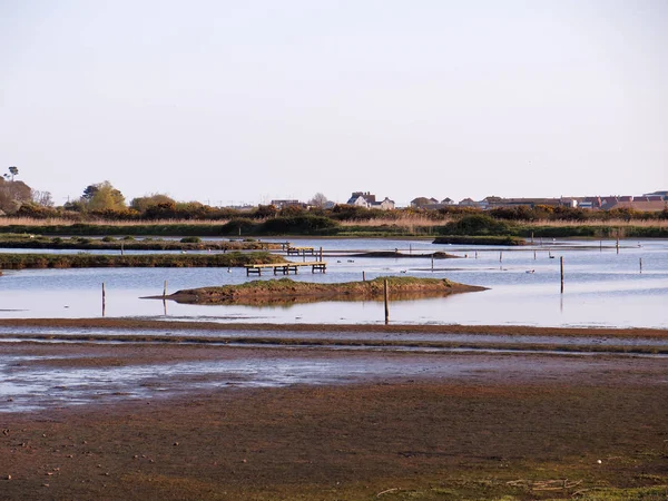 Seaton Wetlands Devon Abril 2018 — Foto de Stock