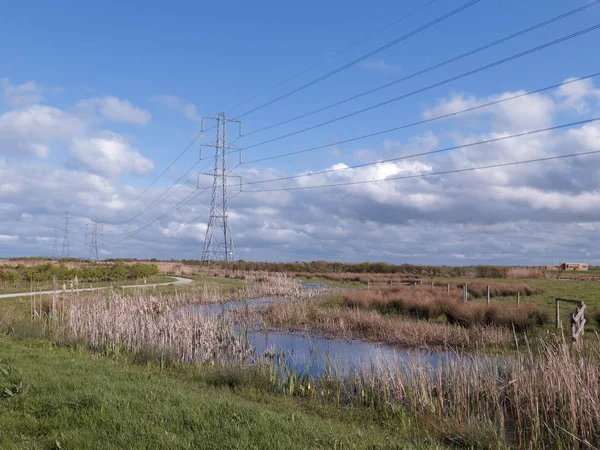 Steart Marshes Riserva Wwt Somerset Aprile 2018 — Foto Stock