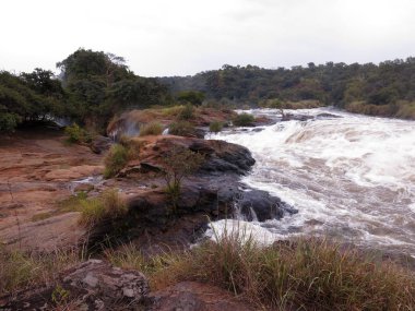 Üst Falls, Murchinson Falls Milli Parkı, Uganda, Ağustos 2018