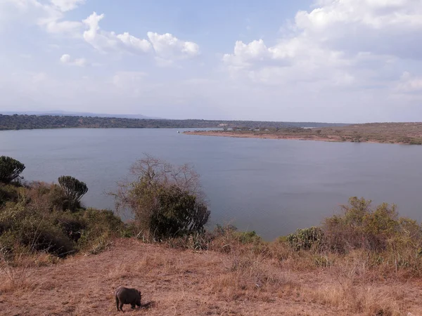 Lago Edward Parque Nacional Reina Isabel Uganda Agosto 2018 — Foto de Stock