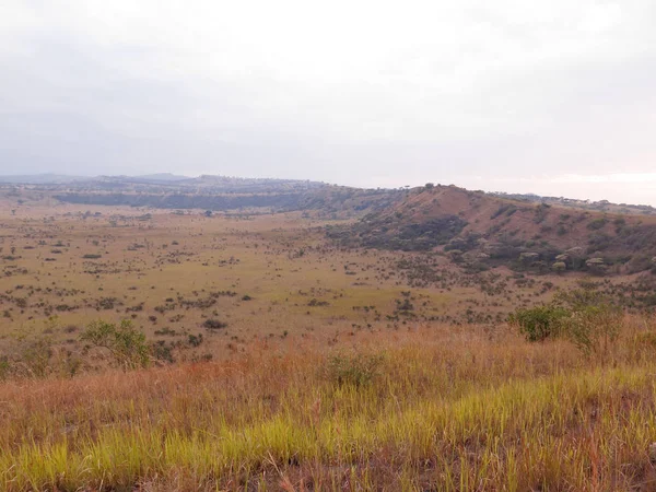 Královna Alžběta Národní Park Uganda Srpen 2018 — Stock fotografie