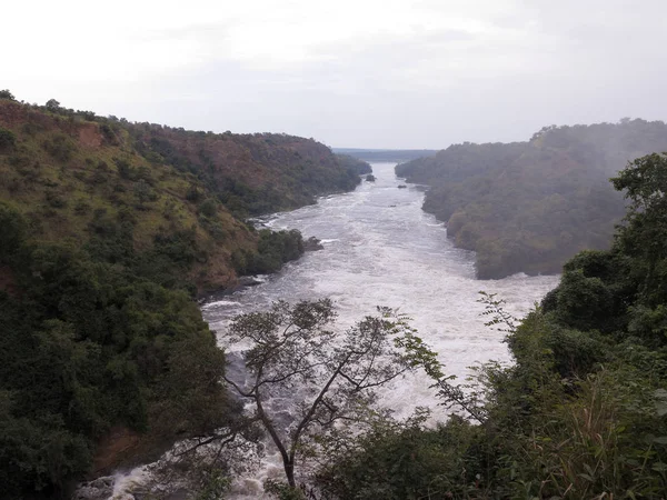 Üst Falls Murchinson Falls Milli Parkı Uganda Ağustos 2018 — Stok fotoğraf