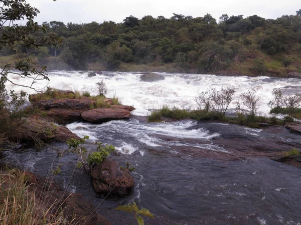 Top Falls Parque Nacional Murchinson Falls Uganda Agosto 2018 — Fotografia de Stock