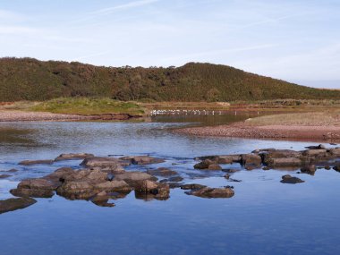 Dale Haliç, Pembrokeshire, Eylül 2018
