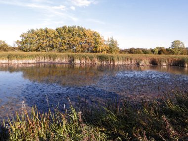 Napton depo, Warwickshire, Eylül 2018
