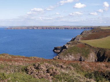 Pembrokeshire, eski geyik Parkı Martins haven, Eylül 2018 tarafından'arıyorsunuz