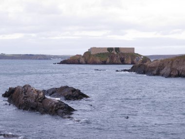 Thorn Adası, Pembrokeshire, Eylül 2018