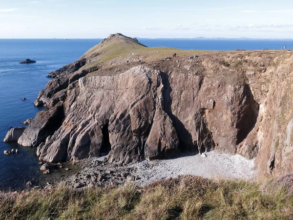 Pembrokeshire Olhando Old Deer Park Por Martins Haven Setembro 2018 — Fotografia de Stock