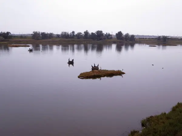 Aogu Boerderij Wetlands Taiwan Januari 2019 — Stockfoto