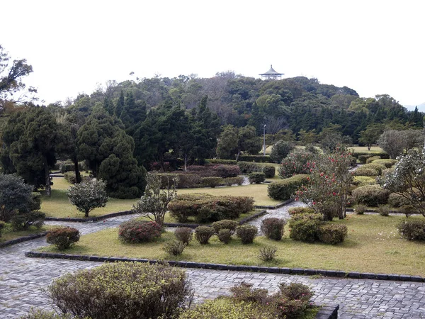 Yangmingshan Nationalpark Norra Taiwan Januari 2019 — Stockfoto