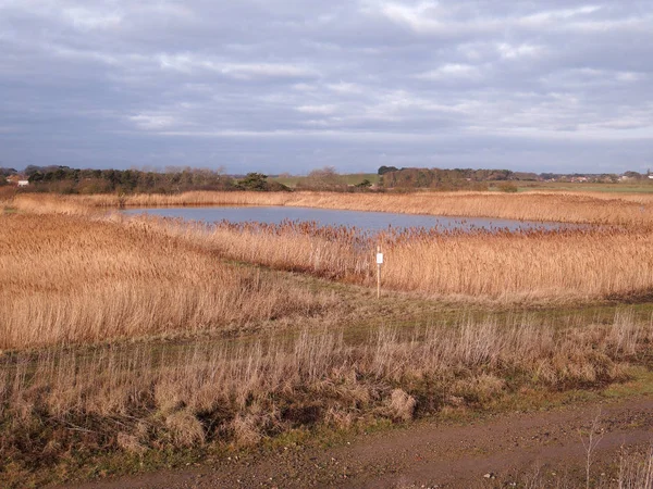 Bawdsey Zwembaden East Lane Suffolk Birdwatching Site Januari 2019 — Stockfoto