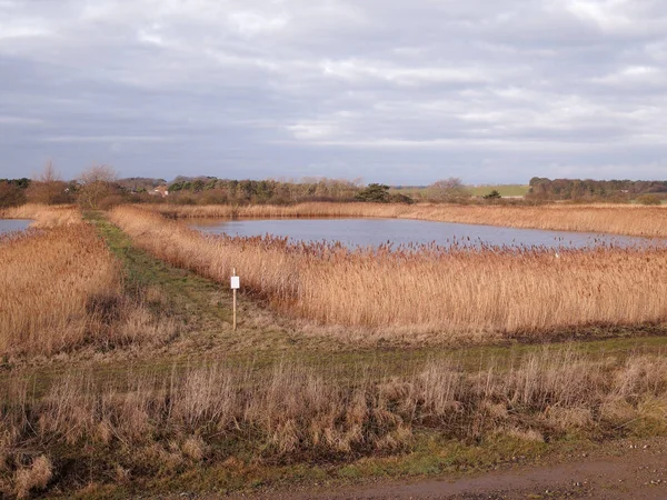 Bawdsey Pools East Lane Suffolk Birdwatching Site January 2019 — Stock Photo, Image