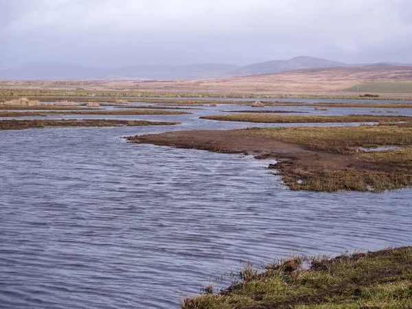 Riserva RSPB Gruinart — Foto Stock