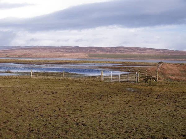 Rspb Gruinart リザーブ — ストック写真