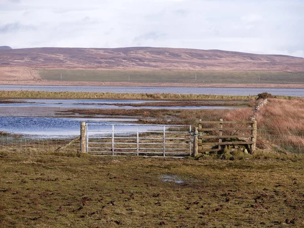 RSPB Gruinart Reserve — Stockfoto