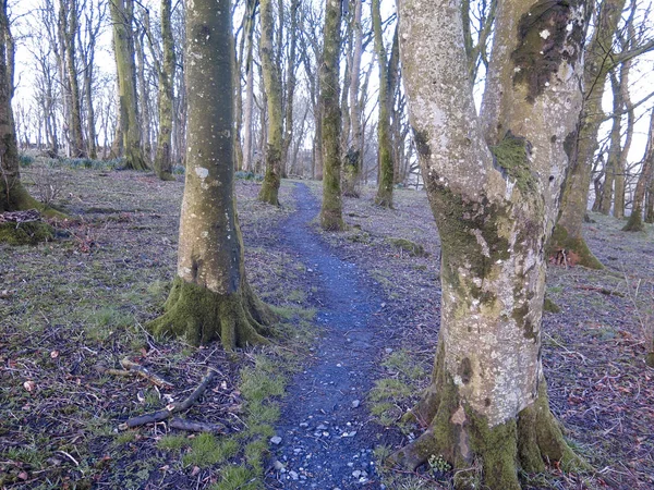 RSPB Gruinart Reserve — Stock Photo, Image