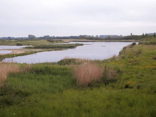 Noordelijke grot wetlands — Stockfoto