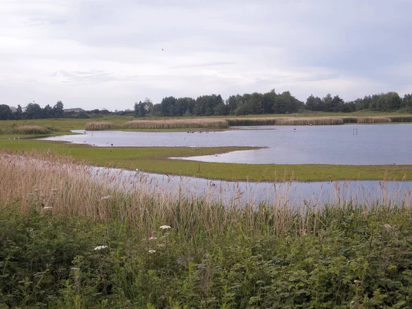 North Cave Wetlands — Stock Photo, Image