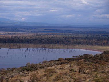 Gölü nakuru Milli Parkı