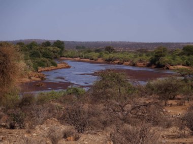 Samburu National Reserve, Kenya