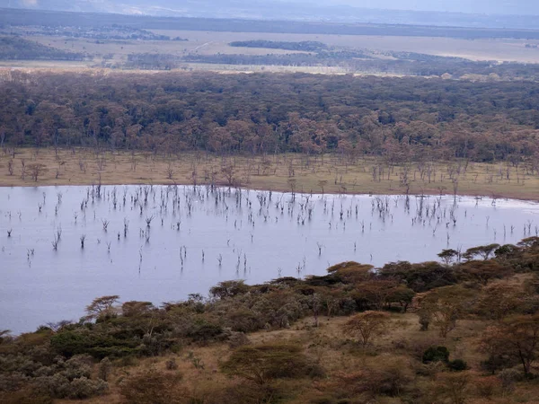Parque Nacional del Lago Nakuru — Foto de Stock