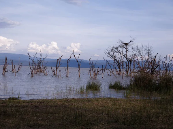 Národní park Lake nakuru — Stock fotografie