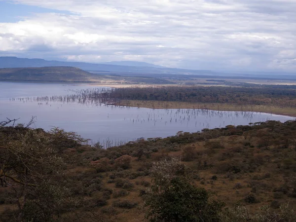 Taman Nasional Danau Nakuru — Stok Foto