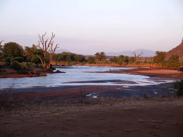 Cadangan Nasional Samburu, Kenya — Stok Foto