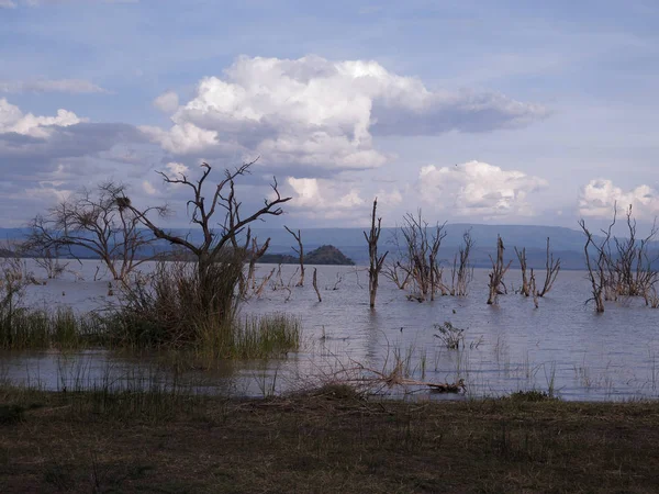 Nationaalpark Lake nakuru — Stockfoto