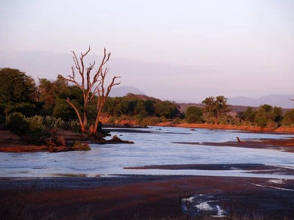 Reserva Nacional Samburu, Kenia — Foto de Stock